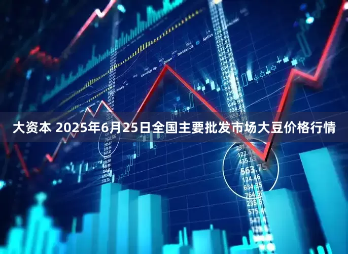 大资本 2025年6月25日全国主要批发市场大豆价格行情