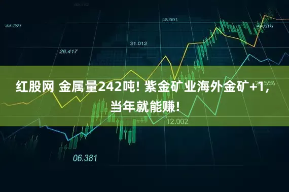 红股网 金属量242吨! 紫金矿业海外金矿+1, 当年就能赚!
