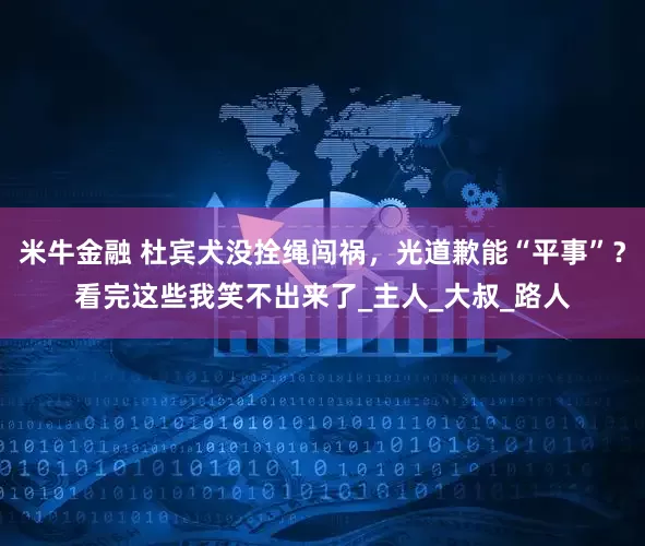 米牛金融 杜宾犬没拴绳闯祸，光道歉能“平事”？看完这些我笑不出来了_主人_大叔_路人