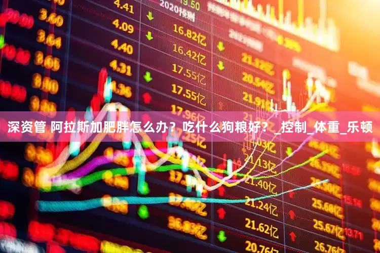 深资管 阿拉斯加肥胖怎么办？吃什么狗粮好？_控制_体重_乐顿