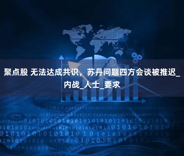 聚点股 无法达成共识，苏丹问题四方会谈被推迟_内战_人士_要求