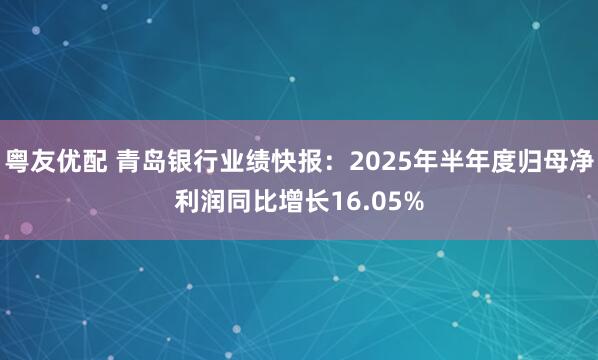 粤友优配 青岛银行业绩快报：2025年半年度归母净利润同比增长16.05%