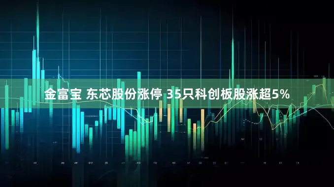 金富宝 东芯股份涨停 35只科创板股涨超5%