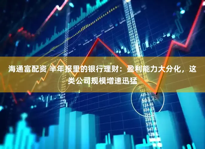 海通富配资 半年报里的银行理财：盈利能力大分化，这类公司规模增速迅猛