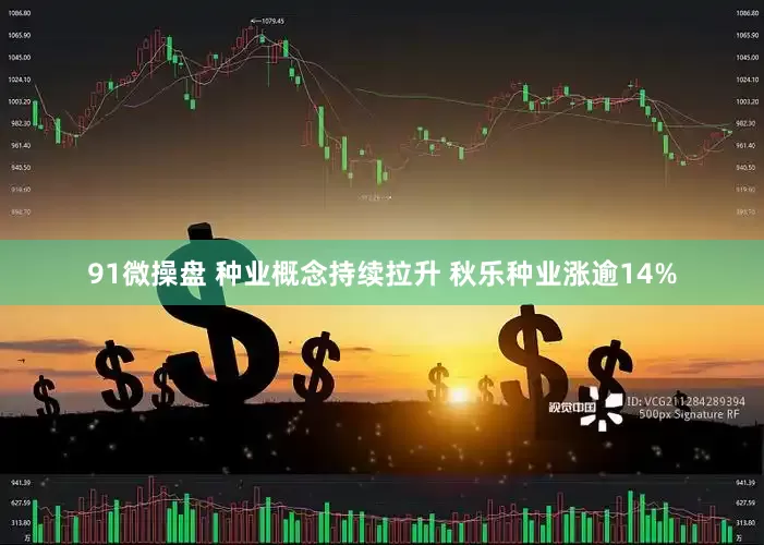 91微操盘 种业概念持续拉升 秋乐种业涨逾14%